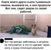 h-220242.thumb.jpg.e846a6ea638de94d849c5e697220e9e9.jpg