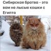 h-332086.thumb.jpg.eb65e2ad2819c469f4c1ea80a2f28ed9.jpg