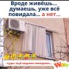 h-578993.thumb.jpg.317334370b23a57c42c1f295d66cf2df.jpg