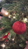 image.thumb.png.9f0e5bdba355a33d7e8163cf1fee1f28.png