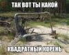 images.thumb.jpg.b9a3b990b42c6919e7b1d10522c8dc23.jpg