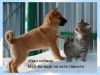 img2-1.thumb.jpg.afd02997614dcf7f78b4016a4adc029f.jpg