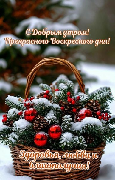 Аватар Ксен40