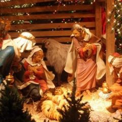 Надежда Минск