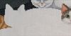 upload_2025_12_09_07_22_45_696.thumb.jpg.5cefef2a936b8b59861d074845850211.jpg