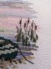 042.thumb.jpg.65fc7f44faad925a5823581410dc9e1a.jpg