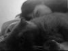 1768733611665.thumb.jpg.2b400390b8fae165b5eb374a87384291.jpg