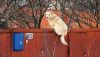 2023253525_40.thumb.jpg.c7ded871b47b421255dfff184e086ab6.jpg