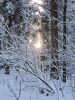20241231_144846.thumb.jpg.f30683dbe322d679479bb4aa2c54c832.jpg