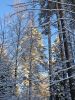 20241231_150010.thumb.jpg.efd5228a10d88827f8662b643af7ad48.jpg
