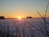 20250219_175715.thumb.jpg.3c9b0d67d316edfe53abd559c76abe3e.jpg