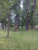 20250812_184334.thumb.jpg.a23579799479ae92ad0dbc2840af946f.jpg