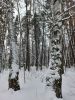 20251228_095750.thumb.jpg.ed1f410fe9f6ae84e89c42f74e3a7c5c.jpg