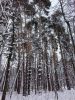 20251228_095755.thumb.jpg.aa7a98631b21d5e37a34175d34c6de01.jpg