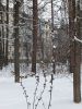 20251228_095959.thumb.jpg.33a4e675c9fb98acb579296cfcfb7500.jpg