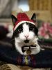 20251231_201807.thumb.jpg.252d099ad25e18d93a15d857f9a37e82.jpg