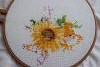 2026-01-18.thumb.JPG.6969b3ea302221794588bd5a146ca060.JPG