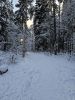 20260101_132919.thumb.jpg.2fda73c9a50278101fee1c42aeb85fc4.jpg