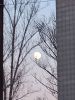 20260102_162045.thumb.jpg.4d0d1810861b2032455d0b8c1262e1b4.jpg