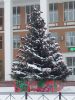 20260103_104152.thumb.jpg.de6adffa66c7ca5abce98a6dc36ed67a.jpg