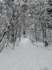 20260103_125941.thumb.jpg.7e439b1be82ac3f064acf41f3d59fcaa.jpg