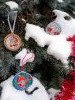 20260104_130915.thumb.jpg.11c4ba82f1611577555cee00cb1cb3ea.jpg?1768839996658