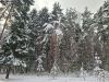 20260104_141545.thumb.jpg.4dac4d1d956a8eaf1fd3ce8389b202b8.jpg