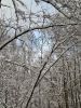 20260104_144840.thumb.jpg.a9688bdfc83e92ca83a8fc759e920916.jpg