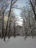 20260104_145931.thumb.jpg.9602d3931d2d4c5737dc571ac4324472.jpg