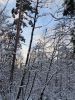 20260104_150743.thumb.jpg.387df305166f986c7efbeb2f4e4afa6a.jpg