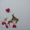 20260104_151822.thumb.jpg.bc8d10152ce7bc4ec290ee002340ecb0.jpg