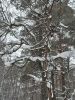 20260105_130720.thumb.jpg.b0b07c9752b089d7948ae01a430b0844.jpg