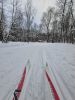 20260105_134404.thumb.jpg.1951aaa25d2723273a2ac566f3bf14ba.jpg