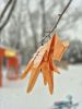 20260107_132216.thumb.jpg.4041fe4bd75c4cd55a4c2487fab15374.jpg
