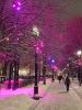 20260107_171922.thumb.jpg.bc7e870d6f7b1c0a1fcab267614c8055.jpg