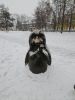 20260108_132125.thumb.jpg.1f09a8a2fd47a4a174279fc9c28ead89.jpg