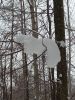 20260109_134134.thumb.jpg.e3bc1cf3c7f55ddc2221b1b83476f00a.jpg