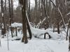 20260109_134144.thumb.jpg.61909e394668ff9da861b1af56af9a7f.jpg