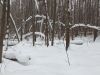 20260109_134155.thumb.jpg.de0a06748b279bc0ace6c8b50ad83569.jpg