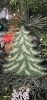 20260110_123723.thumb.jpg.fc811bdeefbddbad430f5c346e6f6616.jpg