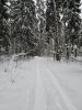 20260111_124046.thumb.jpg.6a1a4926a0ce906872b8f22bc3f8a217.jpg