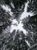 20260111_141527.thumb.jpg.fc41faa3743b7734810e9c666fe6141a.jpg