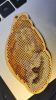 20260114_232940.thumb.jpg.a373e4bd28fd00fffa75794df26e48d2.jpg