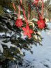 20260116_110208.thumb.jpg.e362ae08dcc2d51443d12f427482d45c.jpg?1768841762578