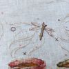 20260118_121243.thumb.jpg.0b8551c1bb05fc37a7b23d691bba0d66.jpg