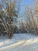 20260118_141445.thumb.jpg.2adcea3ef130a3ec7232cf19656da84f.jpg