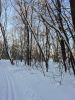 20260118_142259.thumb.jpg.05eb09445e298a81fea3f9d3290bafb6.jpg