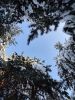 20260118_143218.thumb.jpg.0d135b3695c94b15dd401643262d1a56.jpg