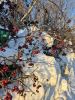 20260118_152014.thumb.jpg.b7b9a3cfa28081122e60fe1b20347317.jpg