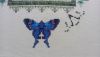 20260124_161213.thumb.jpg.1c6940df6ad43416097e74bb1f0340c0.jpg